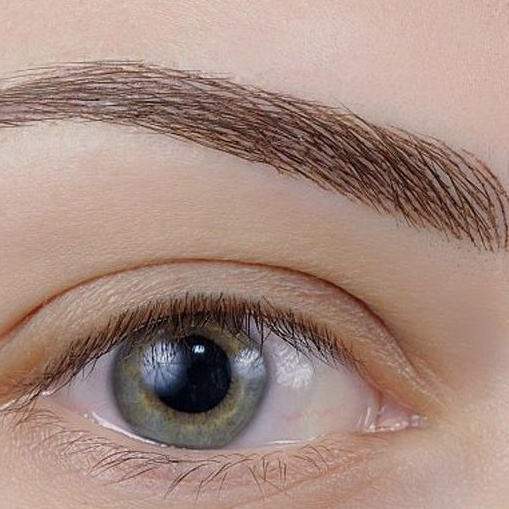 Волосковая техника бровей