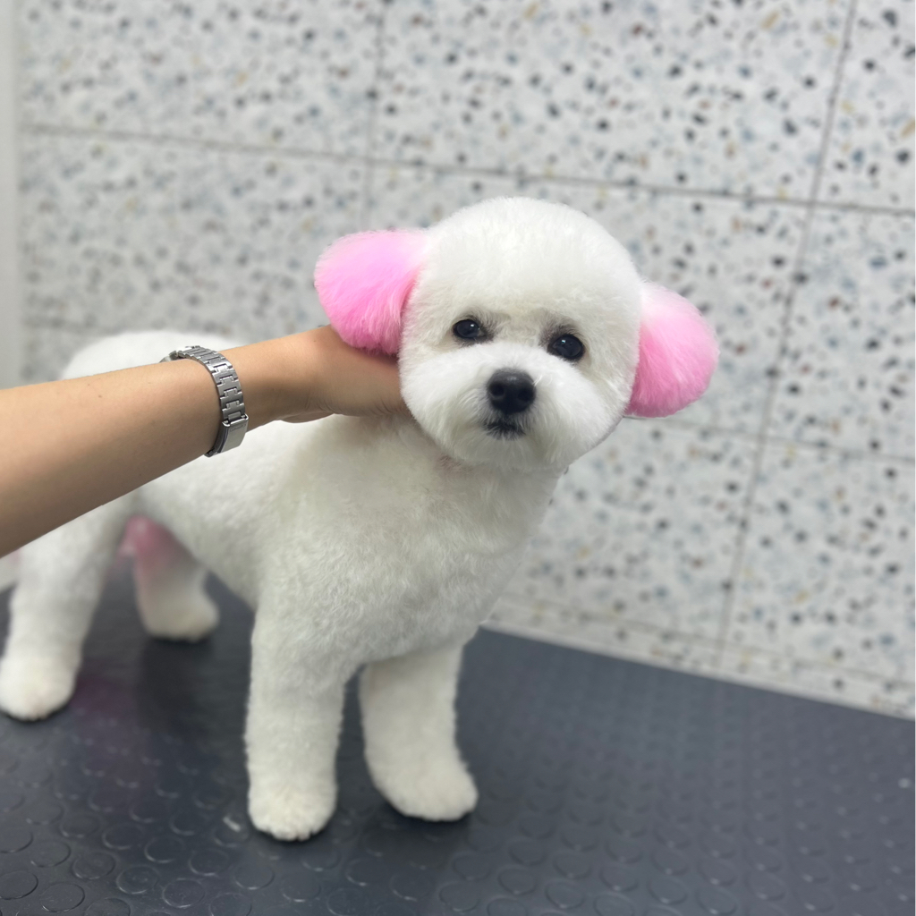 Окрашивание шерсти