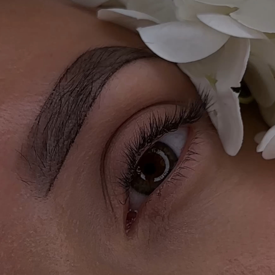 Рефреш (обновление от 6 месяцев)