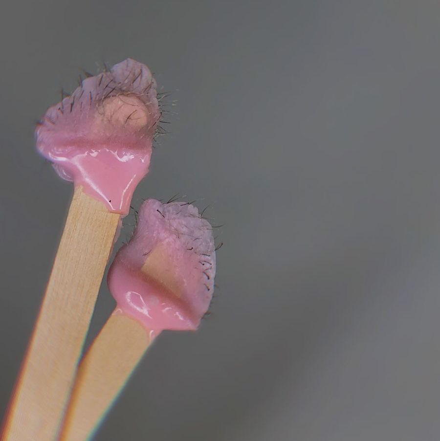 Депиляция носа