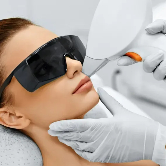 Верхняя губа