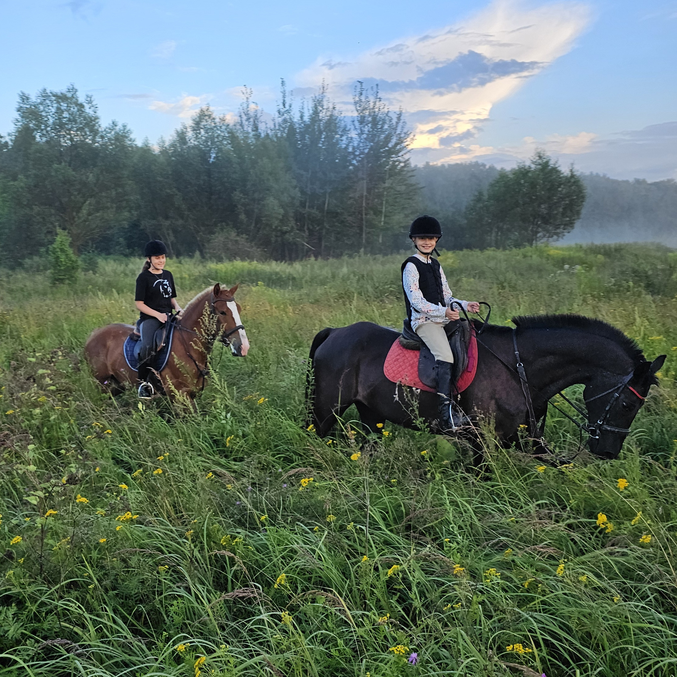 Прогулка на лошадях индивидуальная (90мин)