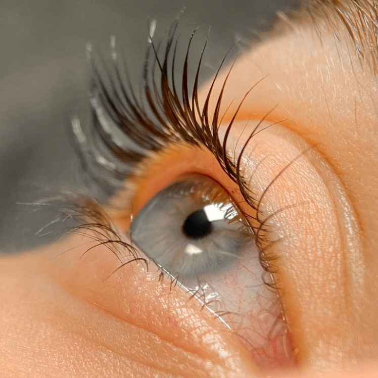 Только окрашивание ресниц/Ботокс