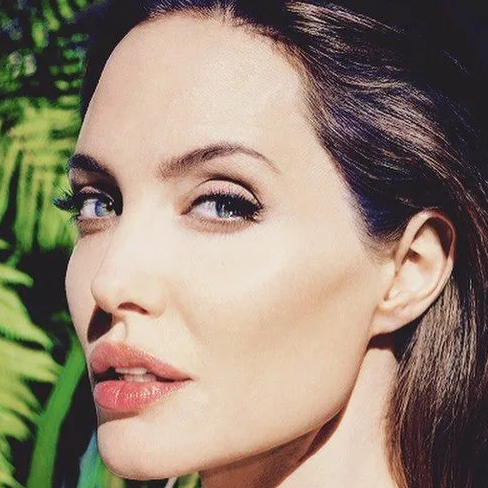 Профиль Джоли
(подбородок, скулы, углы)