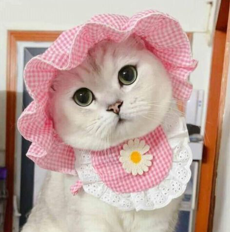 Подмышечные впадины