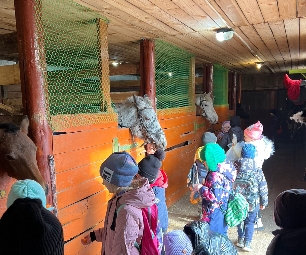 Экскурсия по конюшне