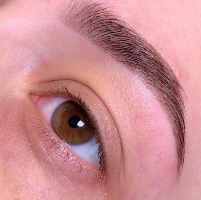 Архитектура бровей