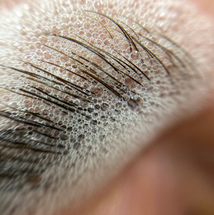 Коррекция бровей без окрашивания