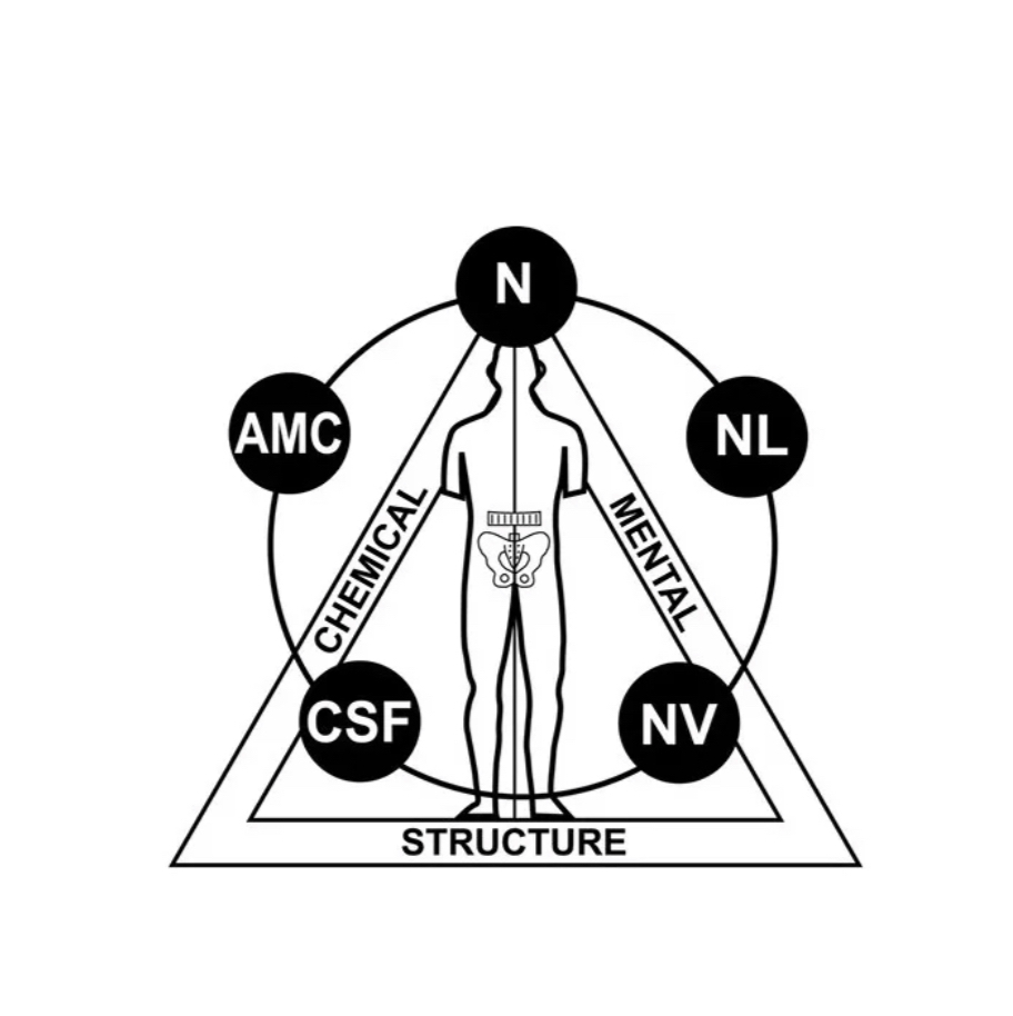 Кинезио-сеанс (длительность 60-90 мин)