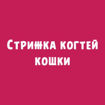 Кошки: стрижка когтей