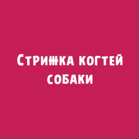 Собаки: Стрижка когтей