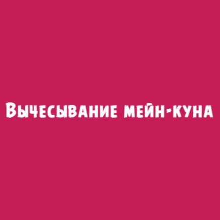 Вычесывание шерсти: мейн-куны