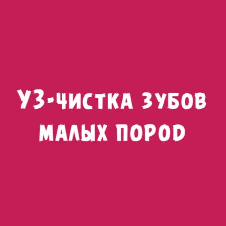 УЗ-чистка зубов малых пород от 2-15 кг.