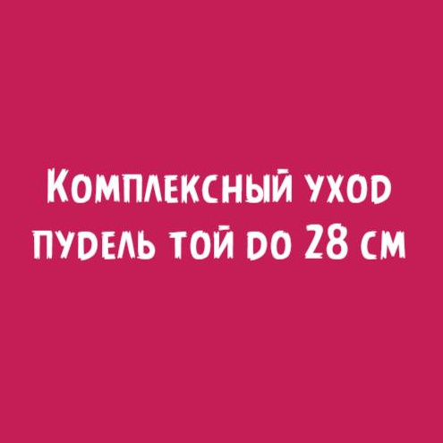 Пудель той до 28см: Комплексный уход