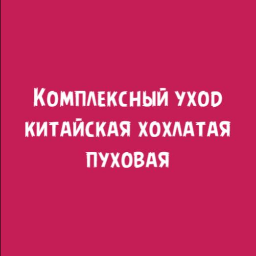 Китайская хохлатая Пуховая: Комплексный уход