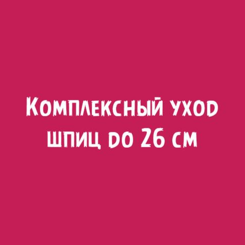 Шпиц до 26см: Комплексный уход