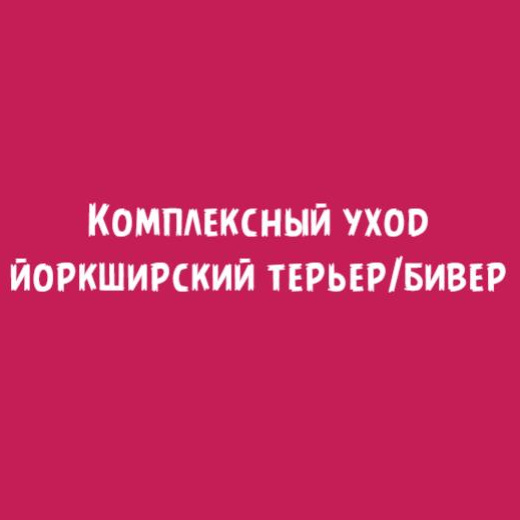 Йоркширский терьер, бивер: Комплексный уход