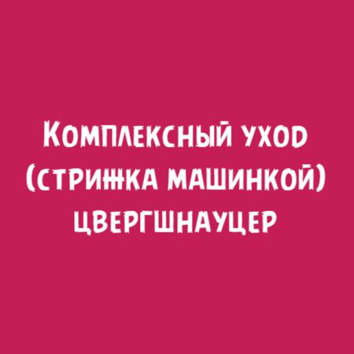 Цвергшнауцер: Комплексный уход стрижка машинкой