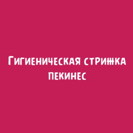 Пекинес: Гигиеническая стрижка