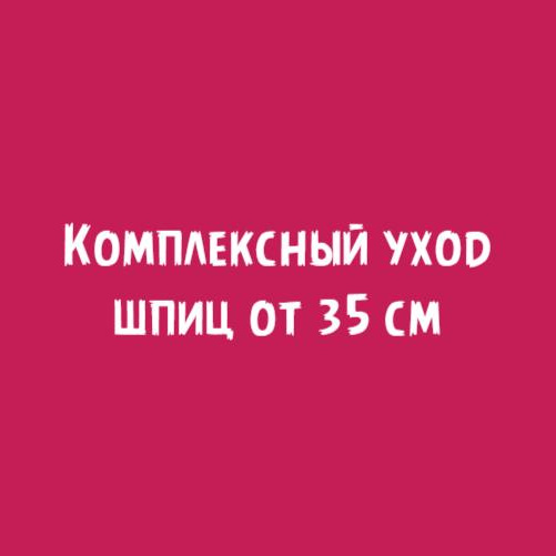 Шпиц от 35см: Комплексный уход