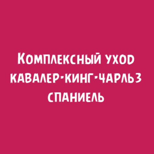 Кавалер кинг-чарльз-спаниель: Комплексный уход