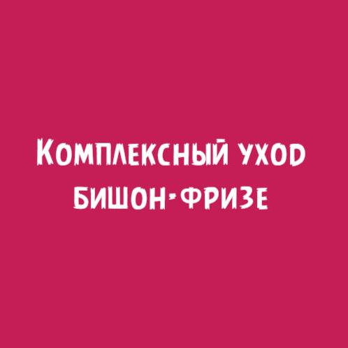 Бишон-фризе: Комплексный уход