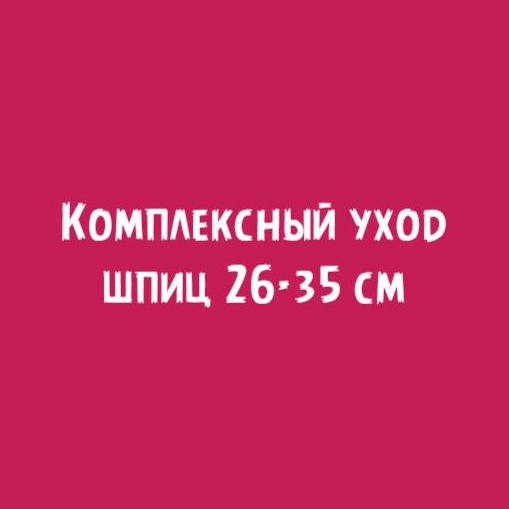 Шпиц 26-35см: Комплексный уход