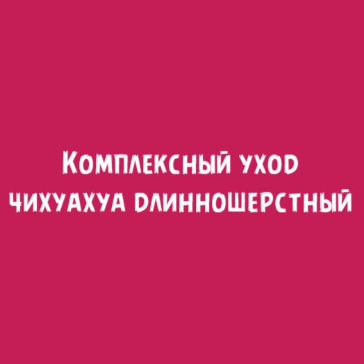 Чихуахуа длинношерстный: Комплексный уход