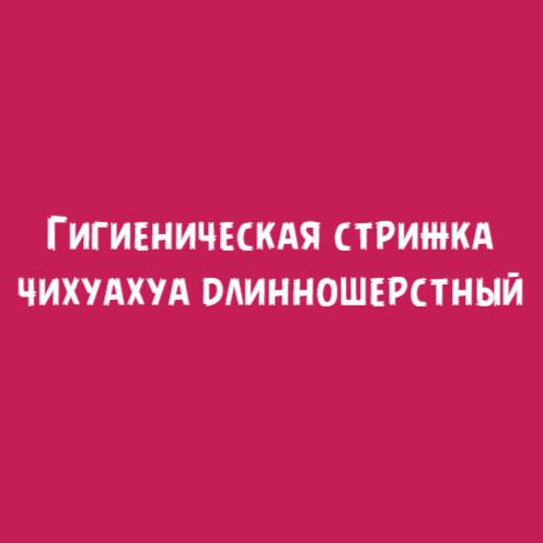 Чихуахуа длинношерстный: Гигиеническая стрижка