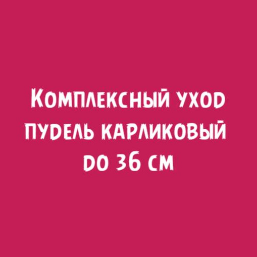 Пудель карликовый до 36см: Комплексный уход