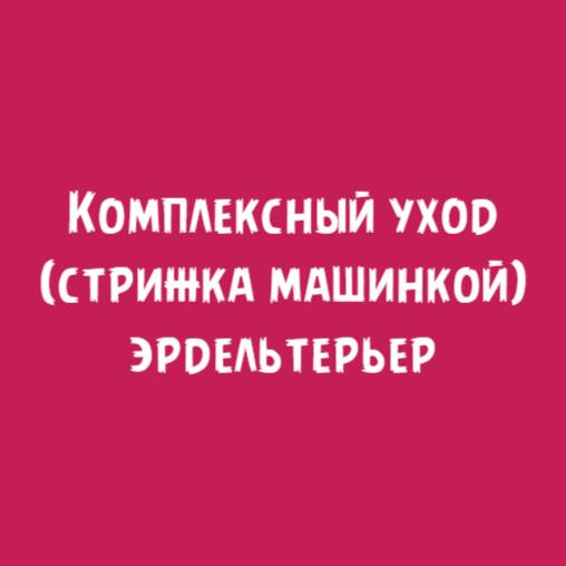 Эрдельтерьер: Комплексный уход стрижка машинкой