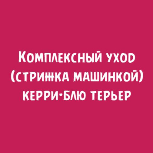 Керри-блю терьер: Комплексный уход стрижка машинкой