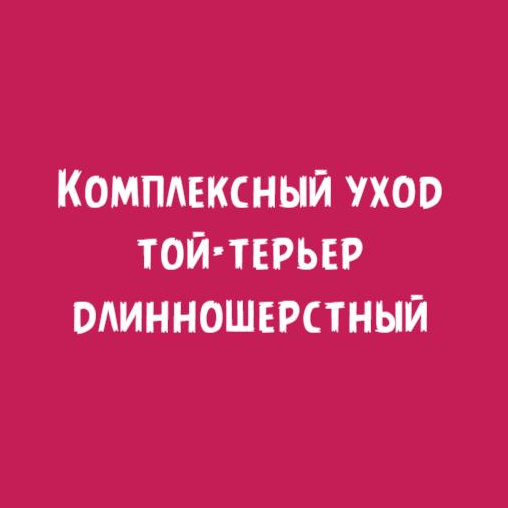 Той-терьер длинношерстный: Комплексный уход