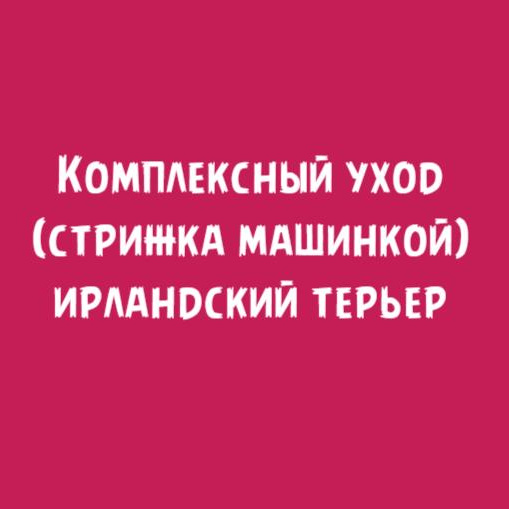 Ирландский терьер: Комплексный уход стрижка машинкой