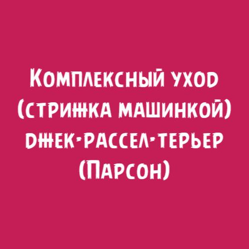 Джек-рассел-терьер (Парсон) жесткошерстный: Комплексный уход стрижка машинкой