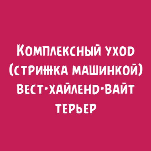 Вест хайленд вайт терьер: Комплексный уход стрижка машинкой