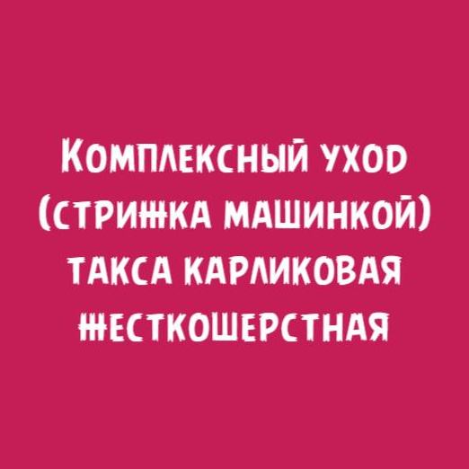 Такса жесткошерстная карликовая: Комплексный уход стрижка машинкой