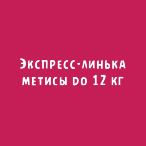 Метисы до 12кг: Экспресс-линька