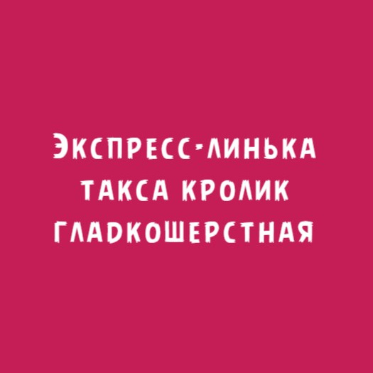 Такса гладкошерстная кролик: Экспресс-линька