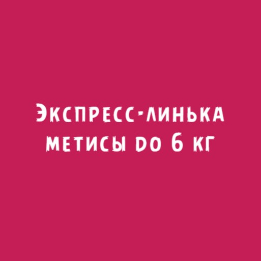 Метисы до 6кг: Экспресс-линька