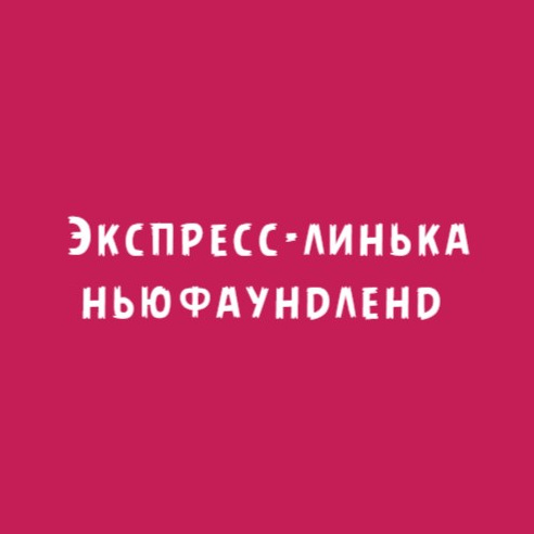 Ньюфаундленд: Экспресс-линька