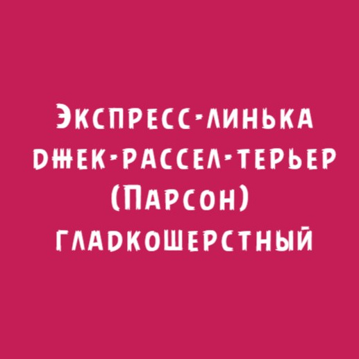 Джек-рассел-терьер (Парсон) гладкошерстный: Экспресс-линька