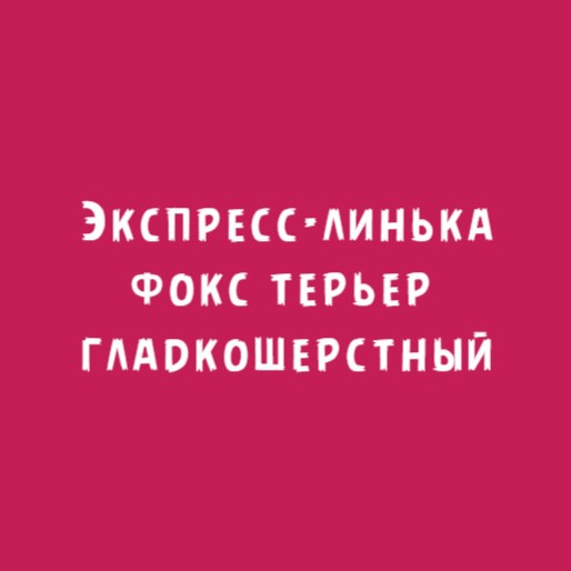 Фокс терьер гладкошерстный: Экспресс-линька