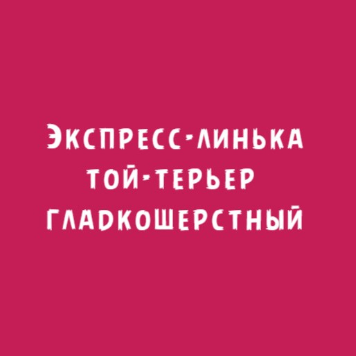 Той-терьер гладкошерстный: Экспресс-линька