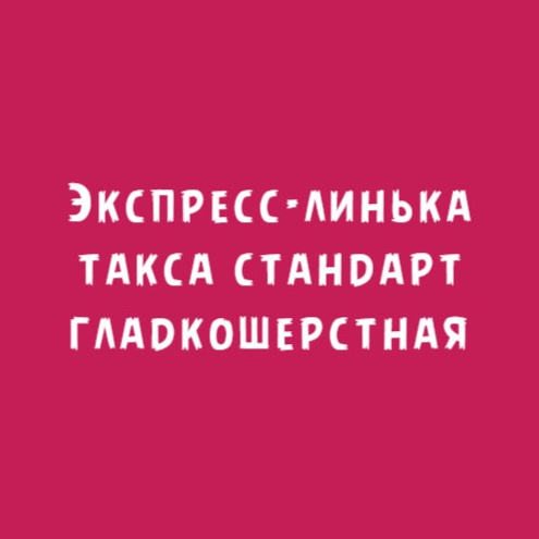 Такса гладкошерстная стандарт: Экспресс-линька