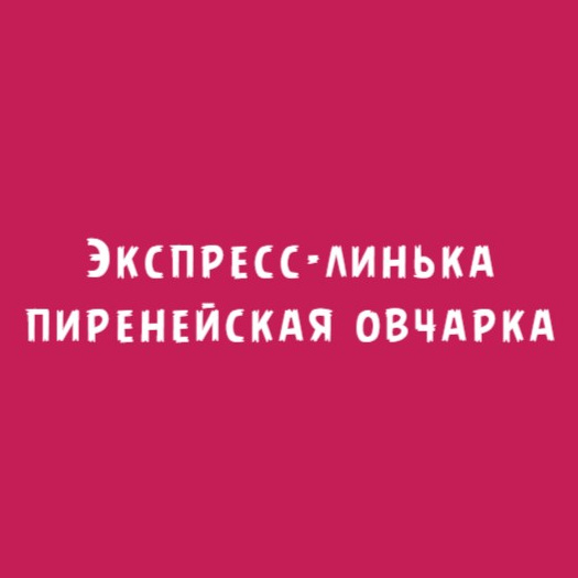 Пиренейская овчарка: Экспресс-линька