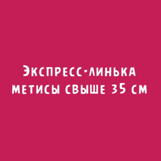 Метисы свыше 35кг: Экспресс-линька