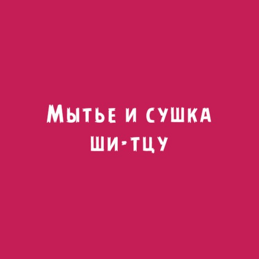 Ши-тцу: Мытье и сушка