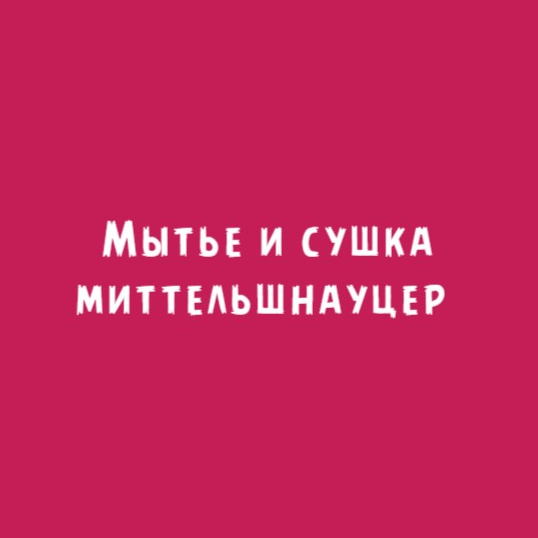 Миттельшнауцер: Мытьё и сушка