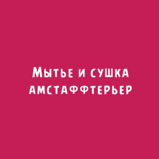 Амстаффтерьер: Мытьё и сушка